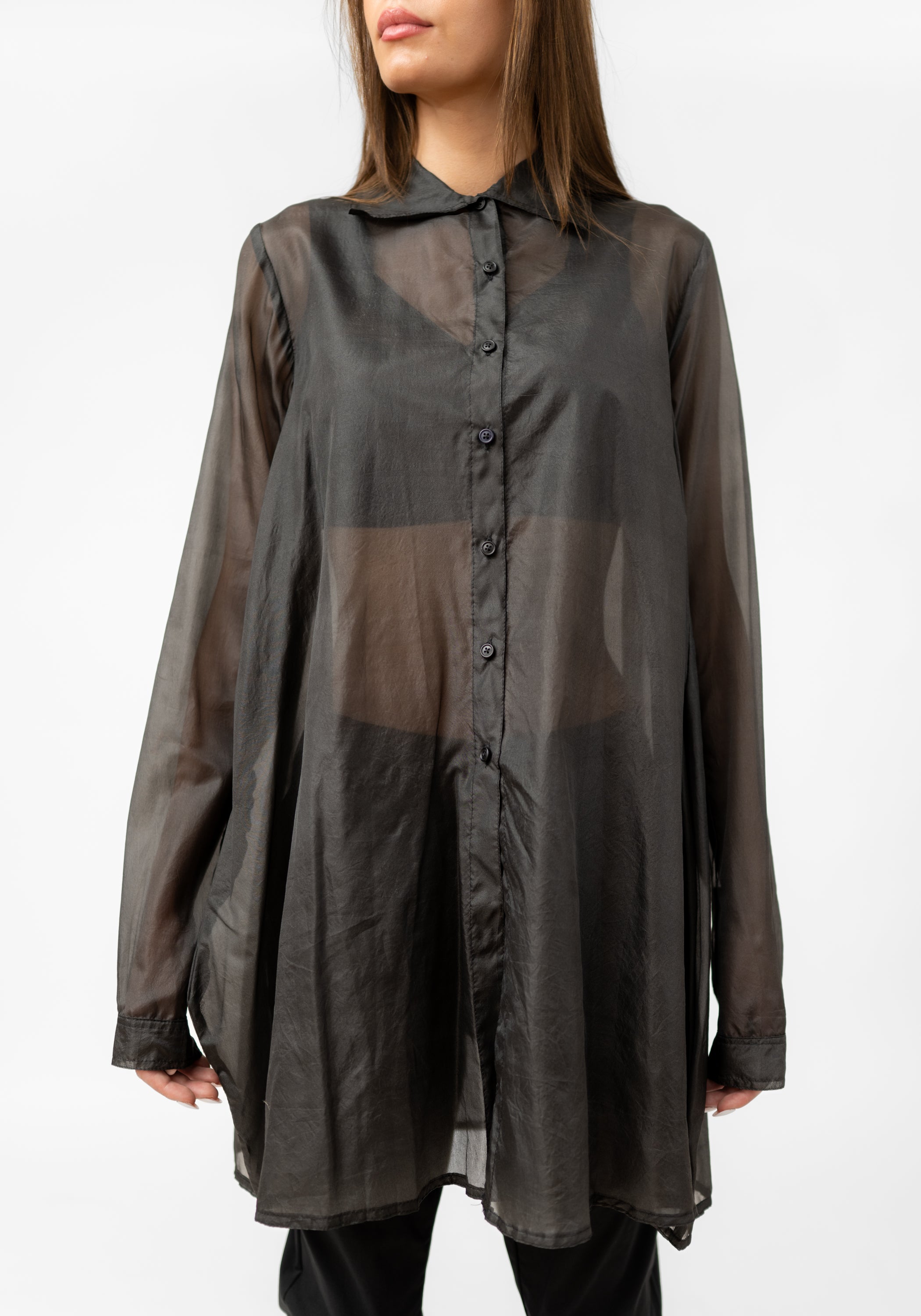 Sheer Silk Shirt Dress