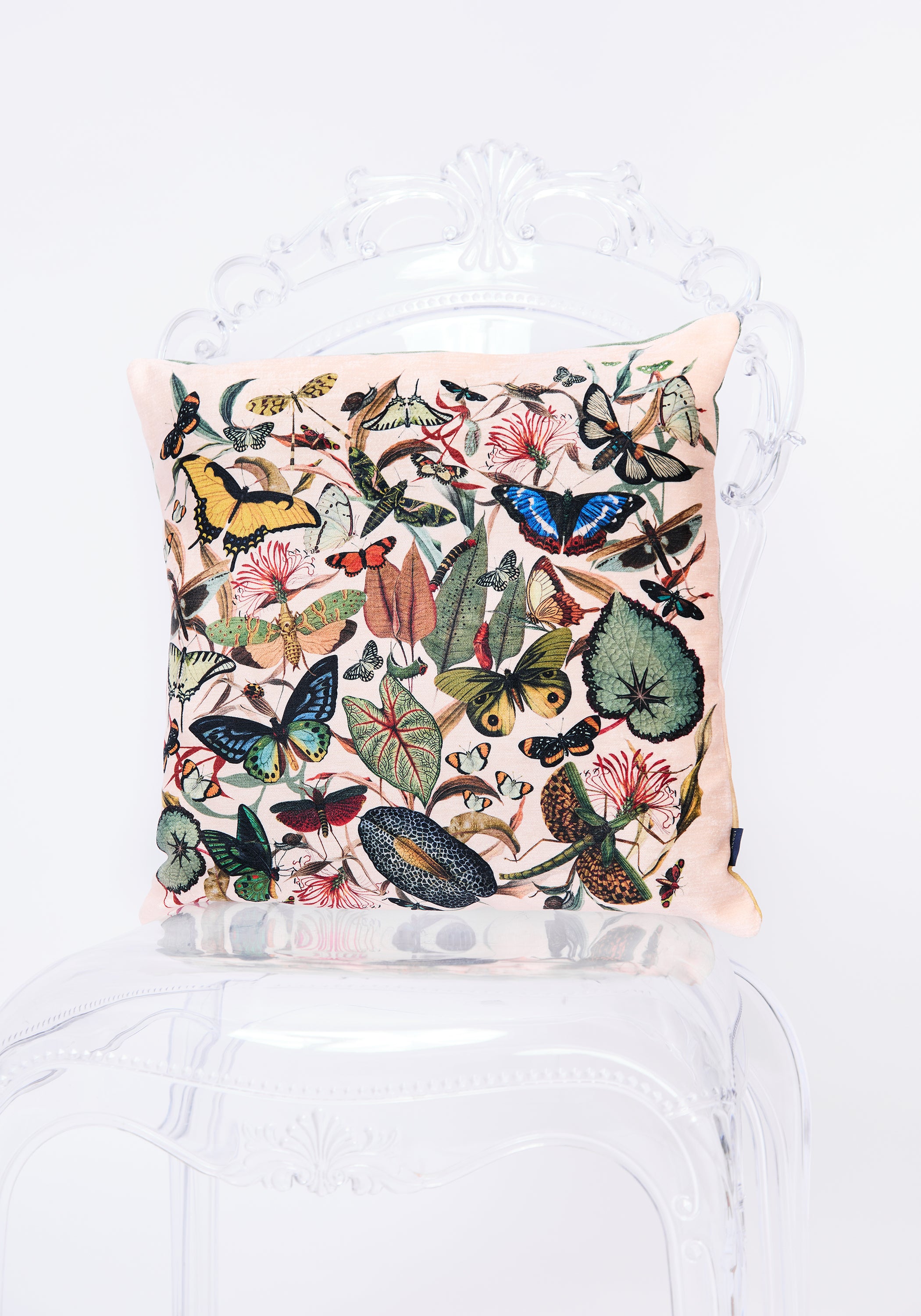Ivory Butterfly Pillow