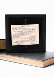 Framed Scarlet Mormon Butterfly Verso