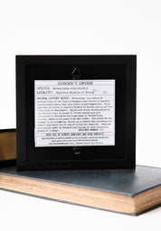 Framed Schrenck's Emperor