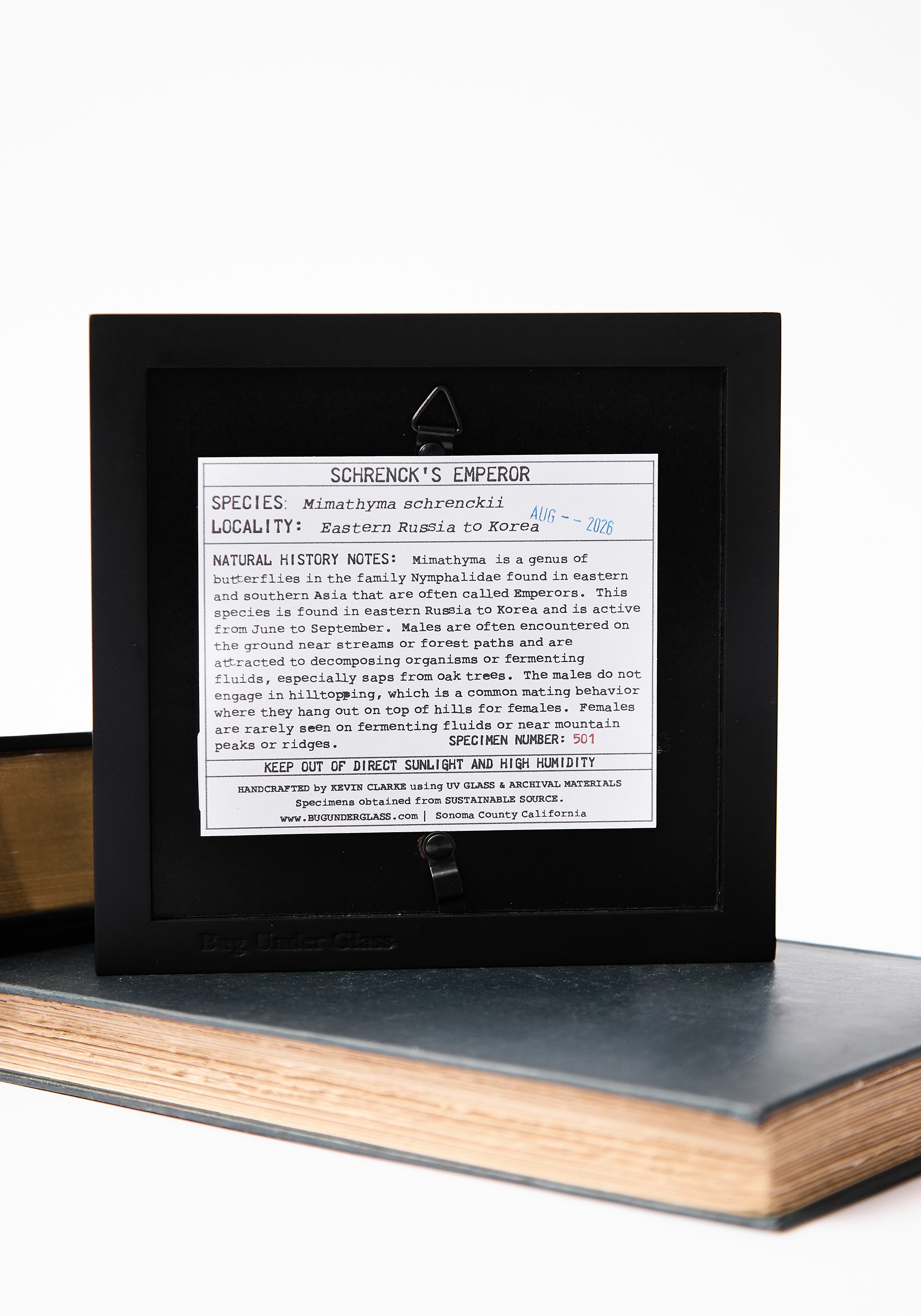 Framed Schrenck's Emperor
