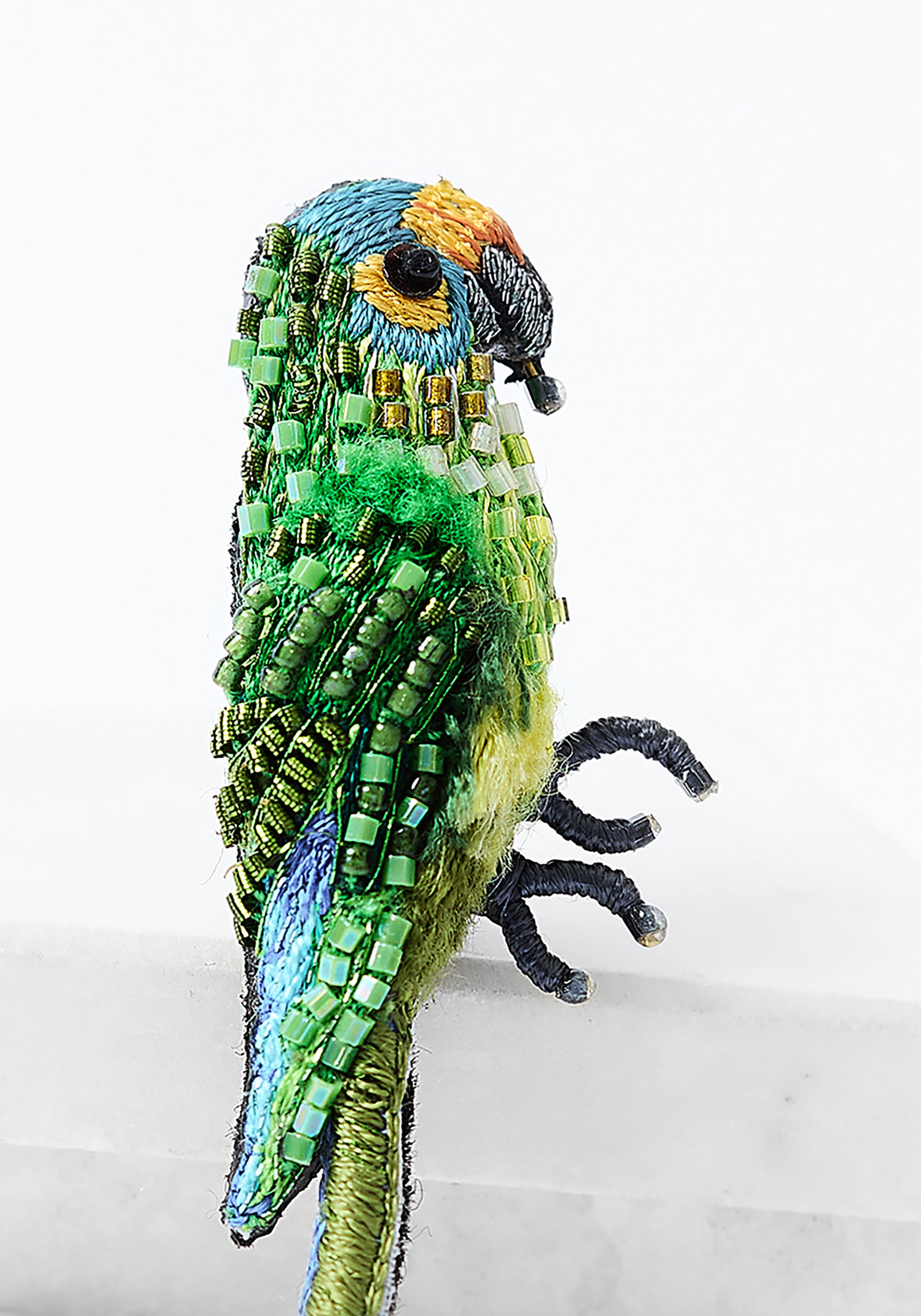 Peach-fronted Parakeet Embroidered Pin