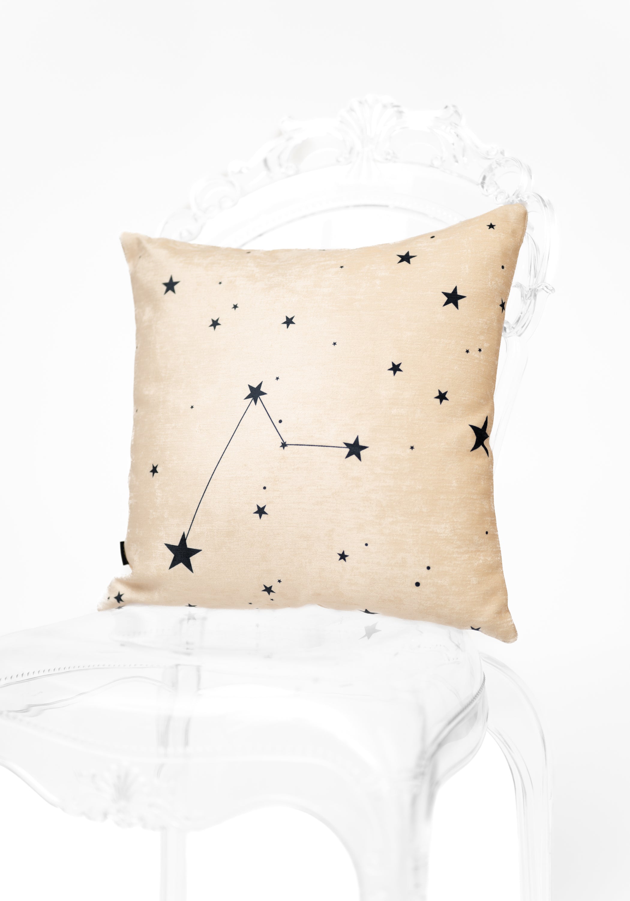 Animal Kingdom Velvet Pillow