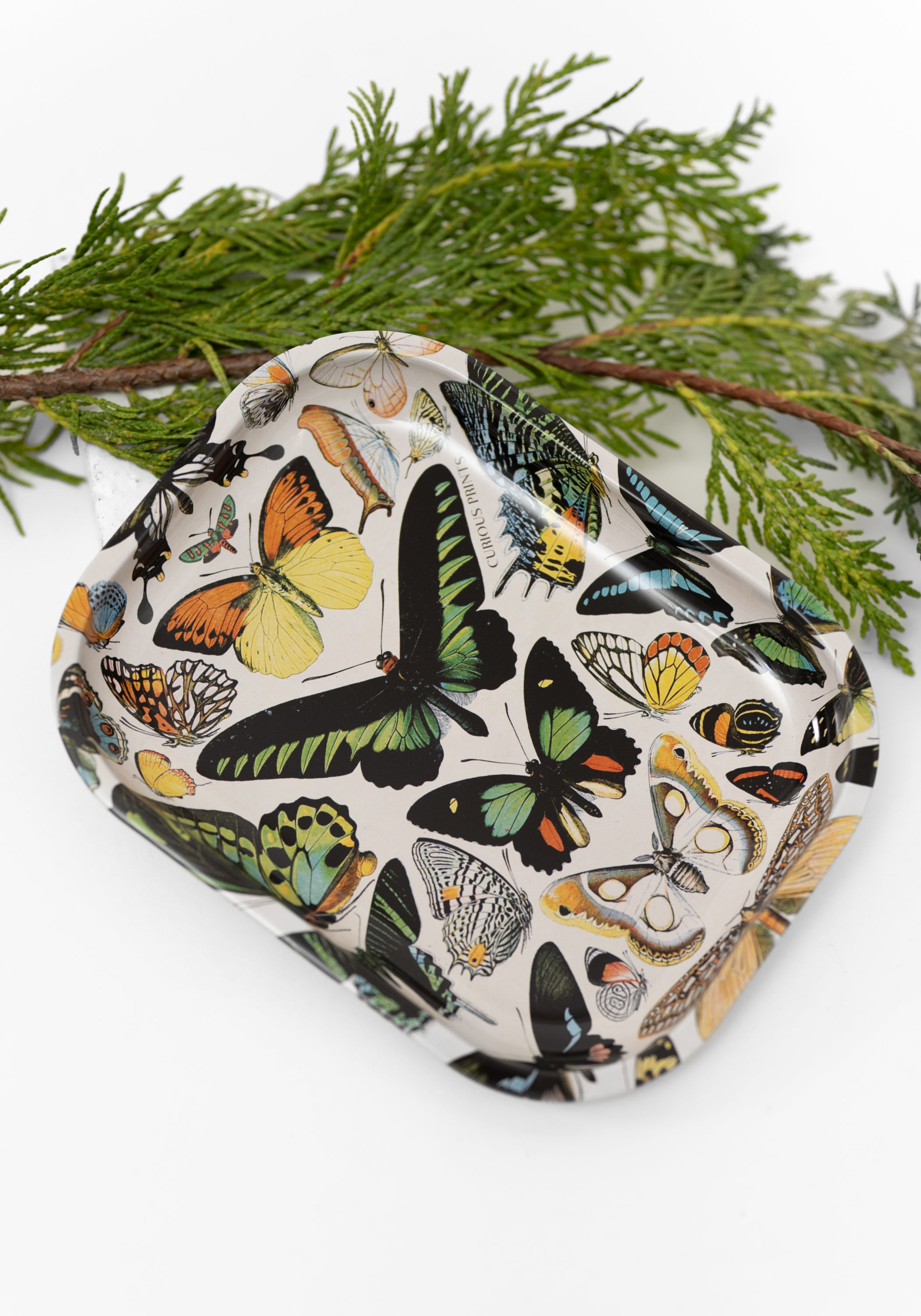 Pine Candle Gift Set