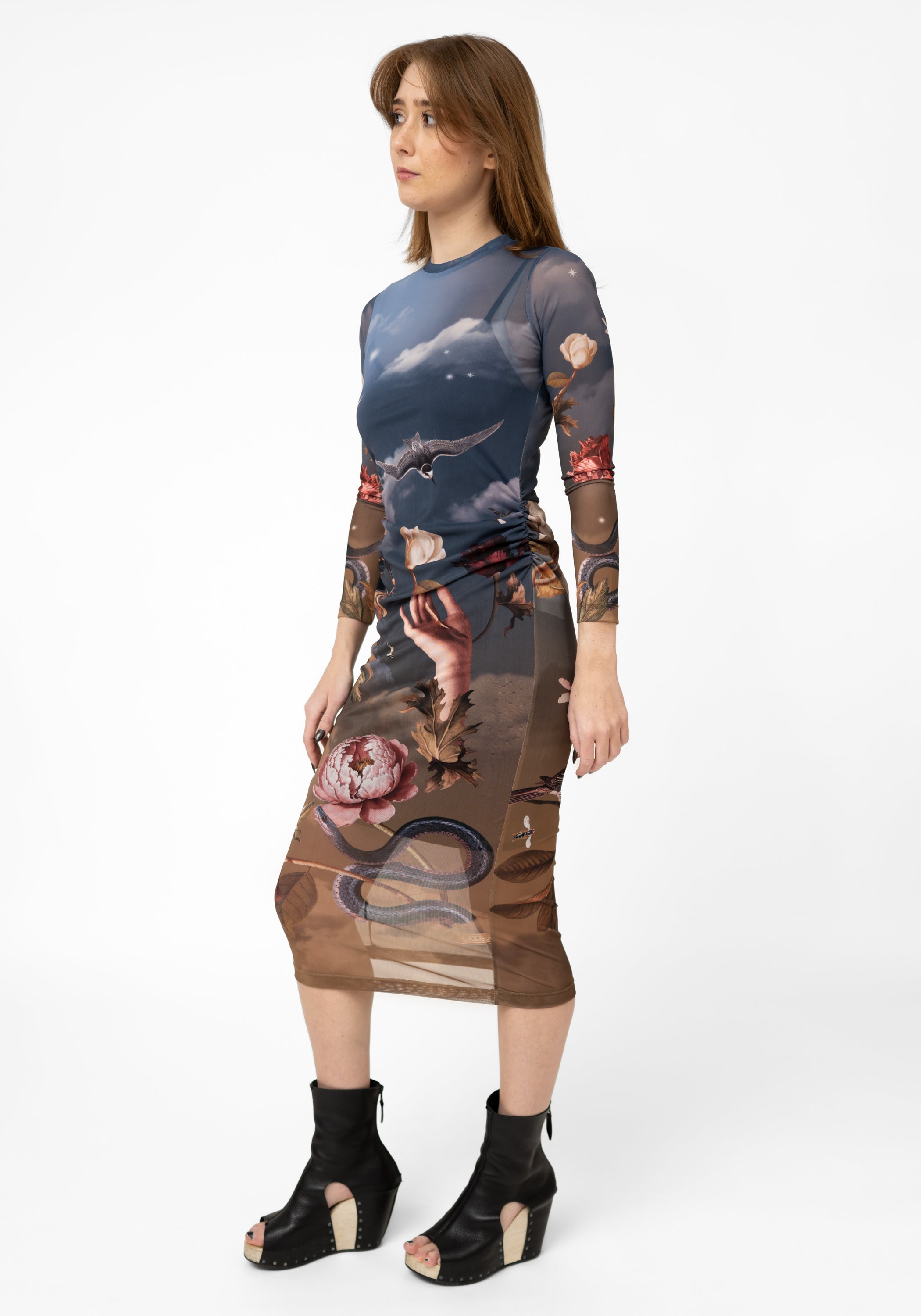 Eden Printed Mesh Dress