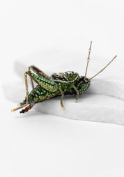 Two Stripped Grasshopper Embroidered Pin - December Thieves