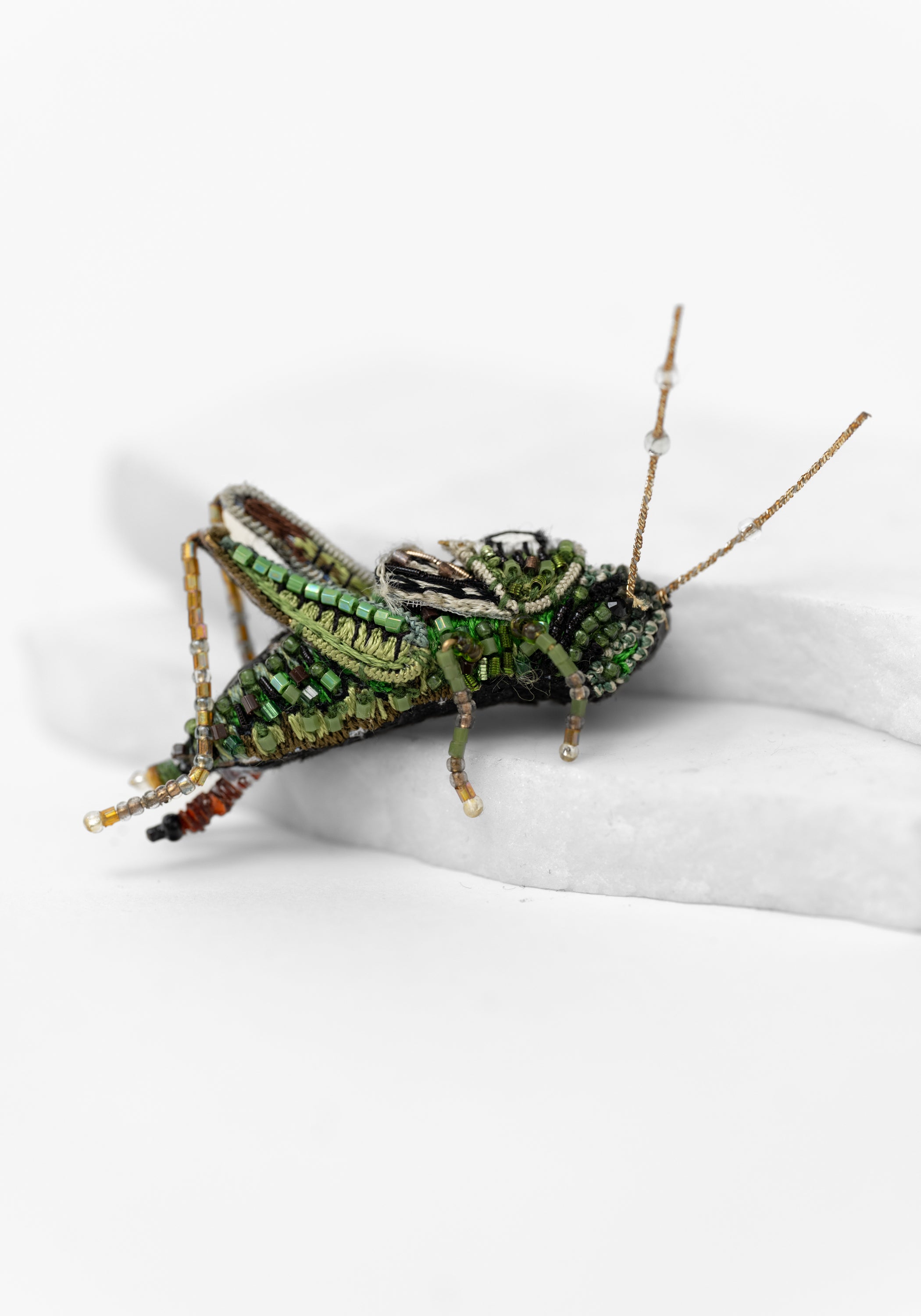Two Stripped Grasshopper Embroidered Pin - December Thieves