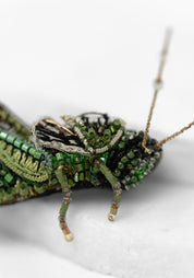Two Stripped Grasshopper Embroidered Pin - December Thieves