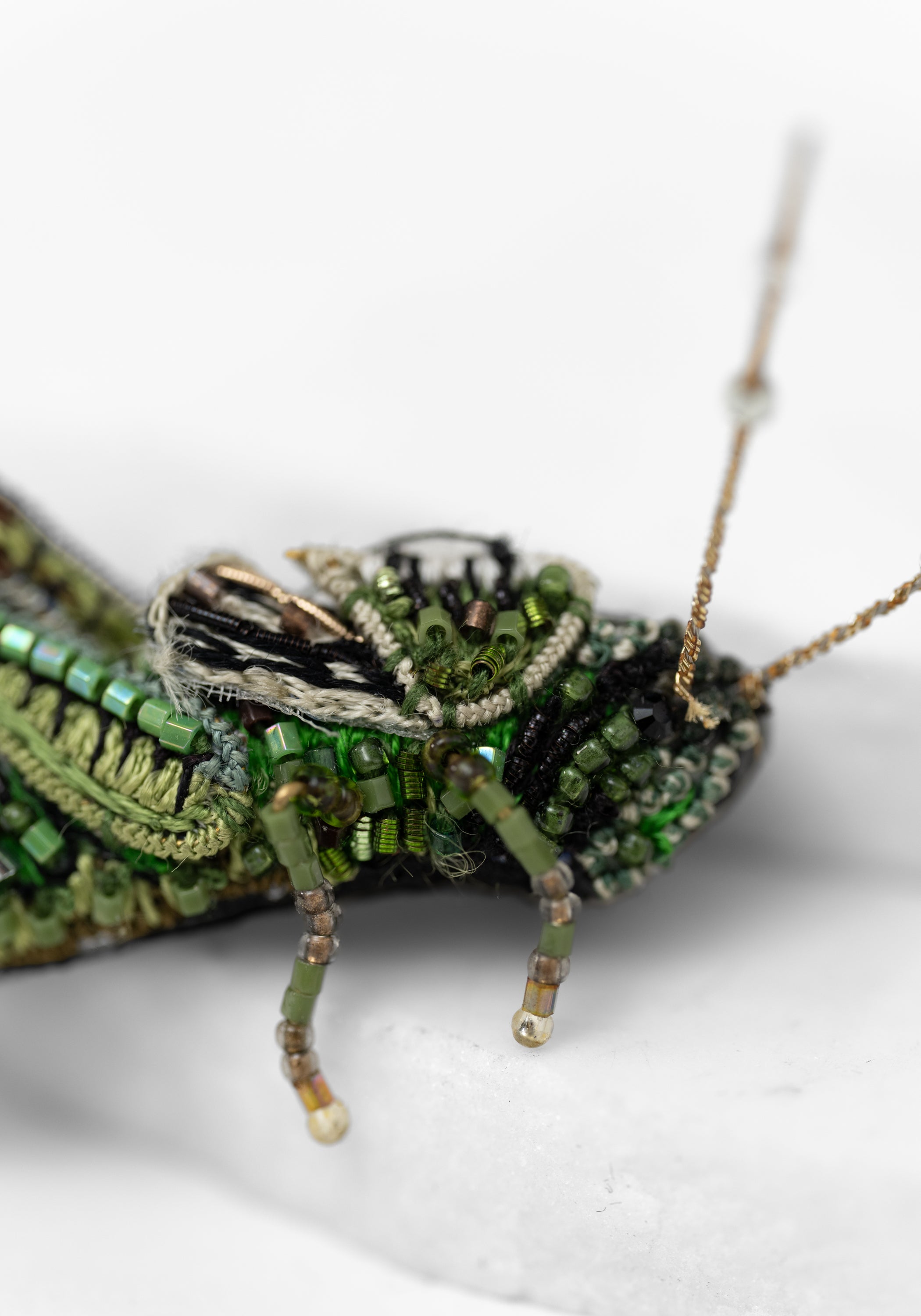 Two Stripped Grasshopper Embroidered Pin - December Thieves