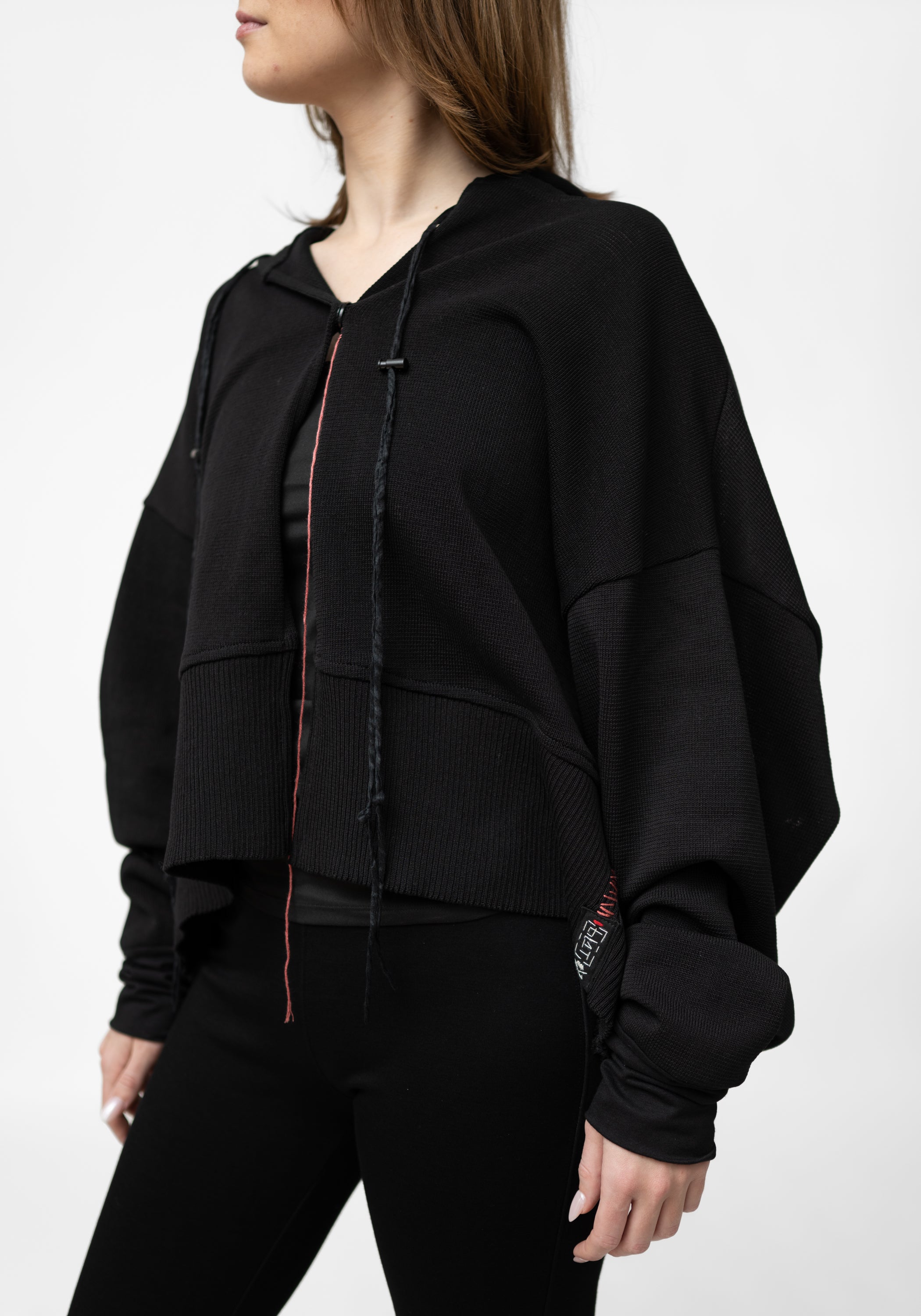 Klimt Embroidered Back Hooded Sweatshirt - December Thieves