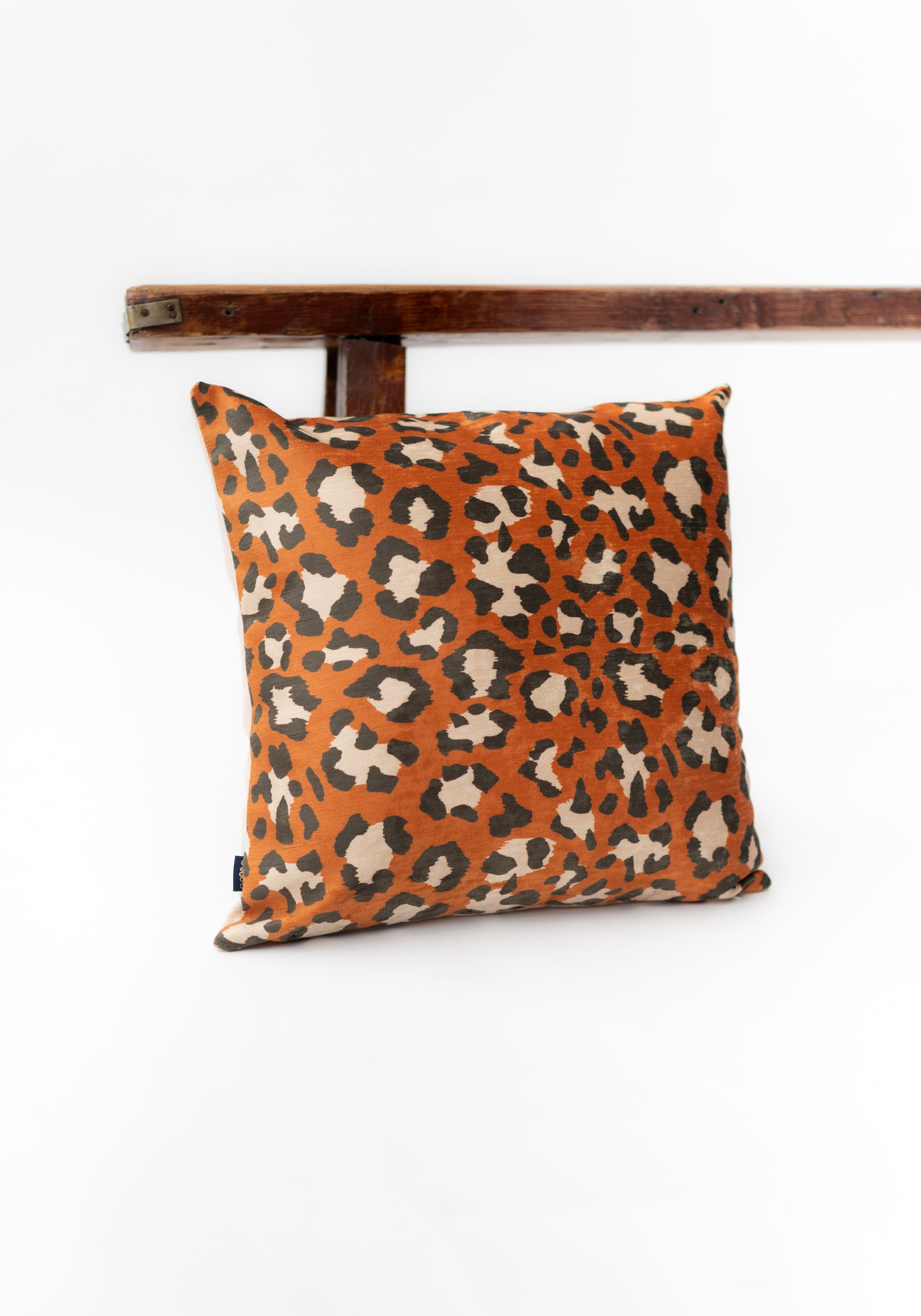 C14_COJ Natura Zebra Velvet Pillow - December Thieves