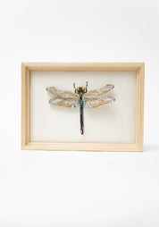 Green Darner Dragonfly Framed Embroidered Art - December Thieves
