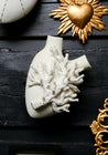 'Vidruma' Porcelain Anatomical Heart Wall Vase - December Thieves