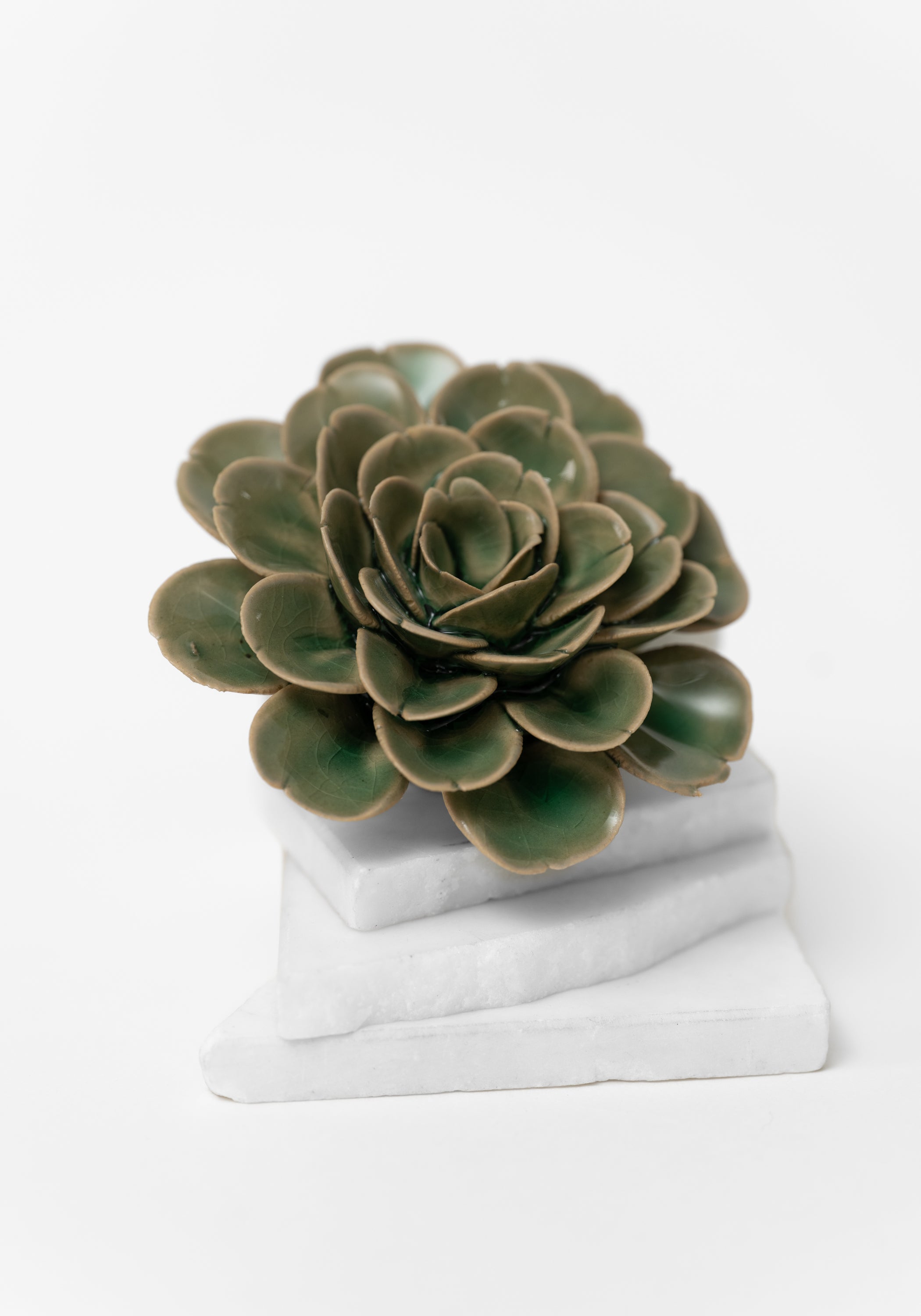 Green Ceramic Tea Rose Wall Art - December Thieves