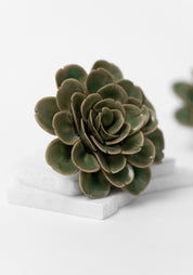 Green Ceramic Tea Rose Wall Art - December Thieves