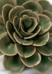 Green Ceramic Tea Rose Wall Art - December Thieves