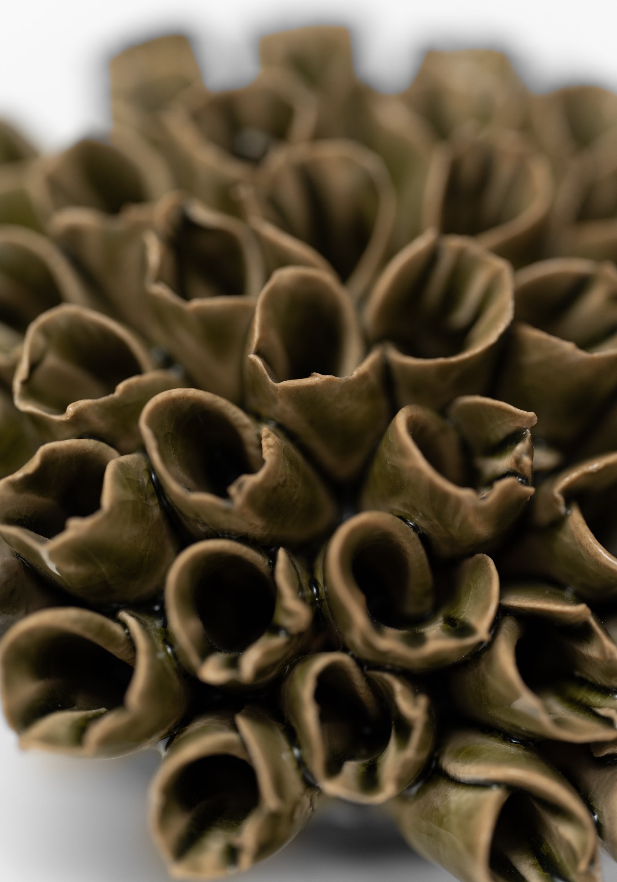 Olive Ceramic Anemone Wall Art - December Thieves