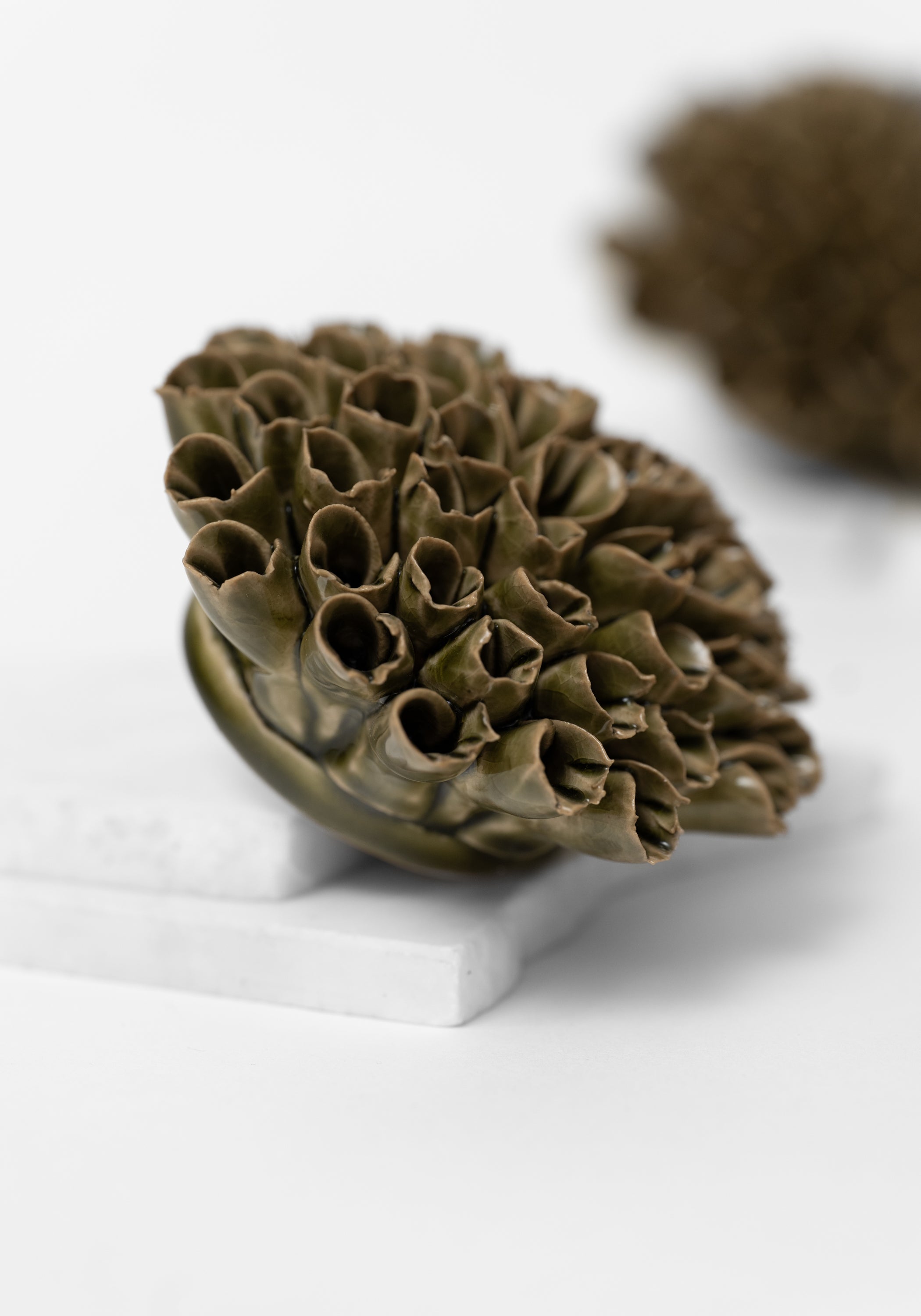 Olive Ceramic Anemone Wall Art - December Thieves