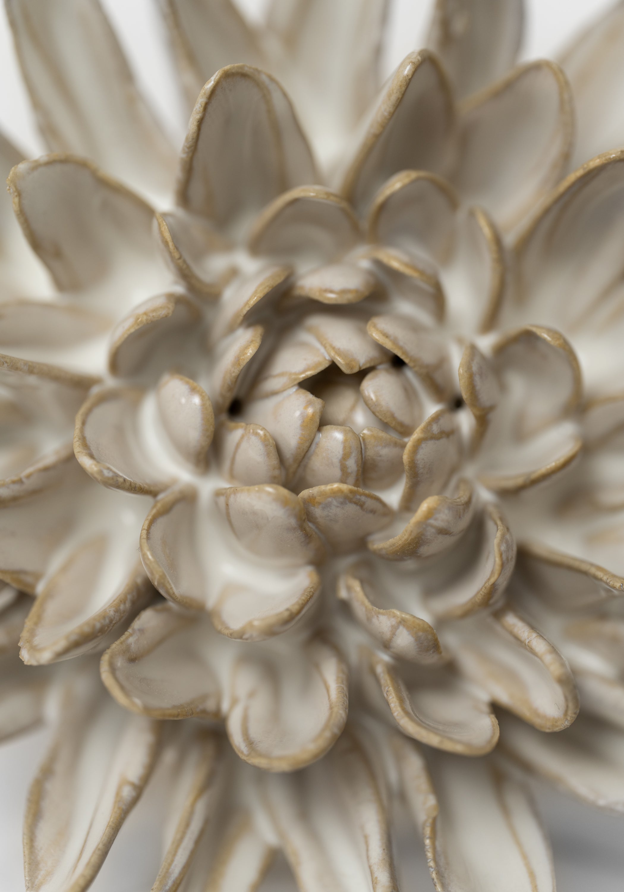 Ivory Ceramic Chrysanthemum Wall Art - December Thieves