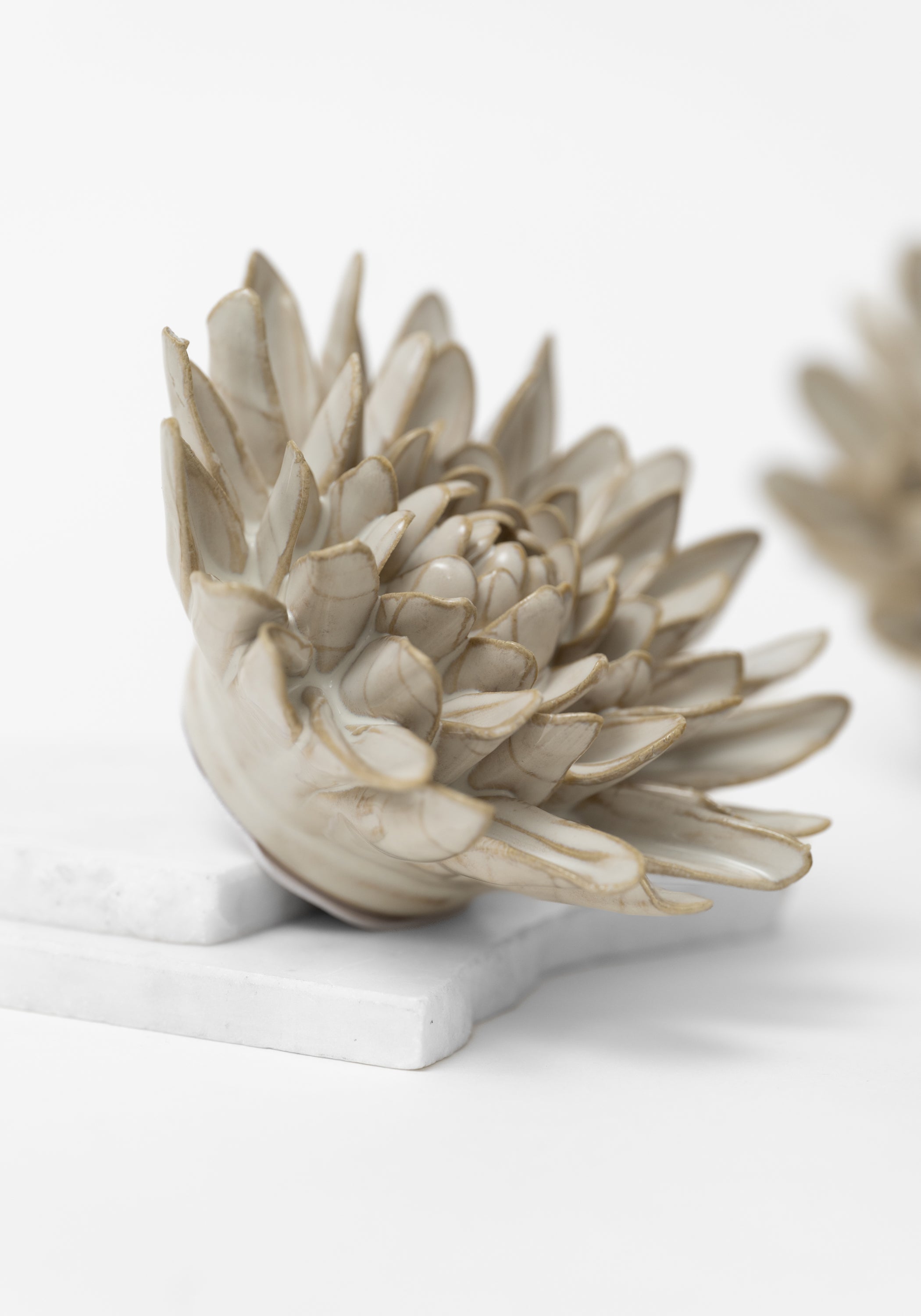 Ivory Ceramic Chrysanthemum Wall Art - December Thieves