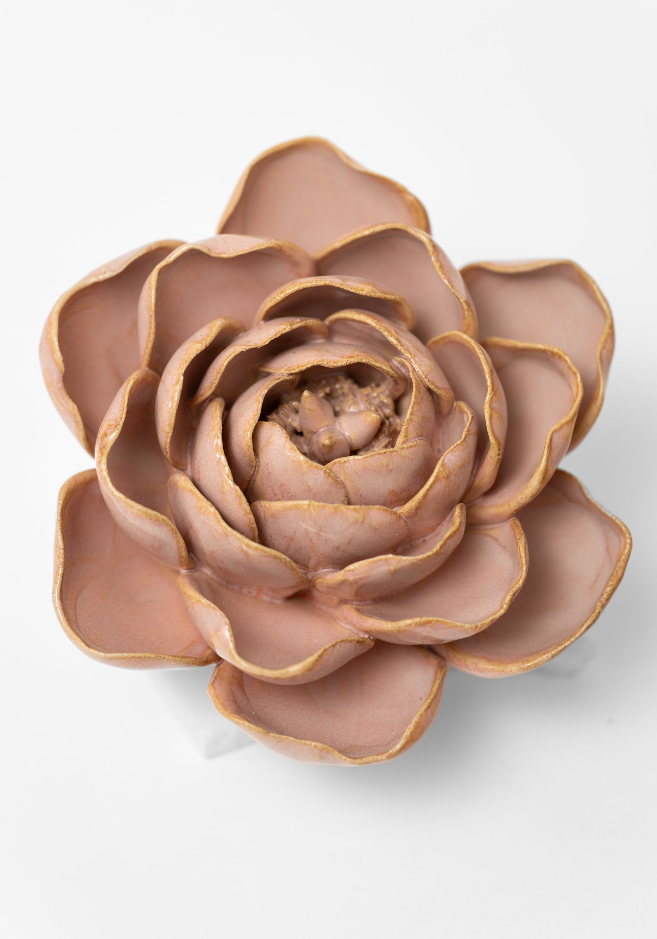 Rose Pink Ceramic Peony Wall Art