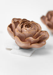 Rose Pink Ceramic Peony Wall Art