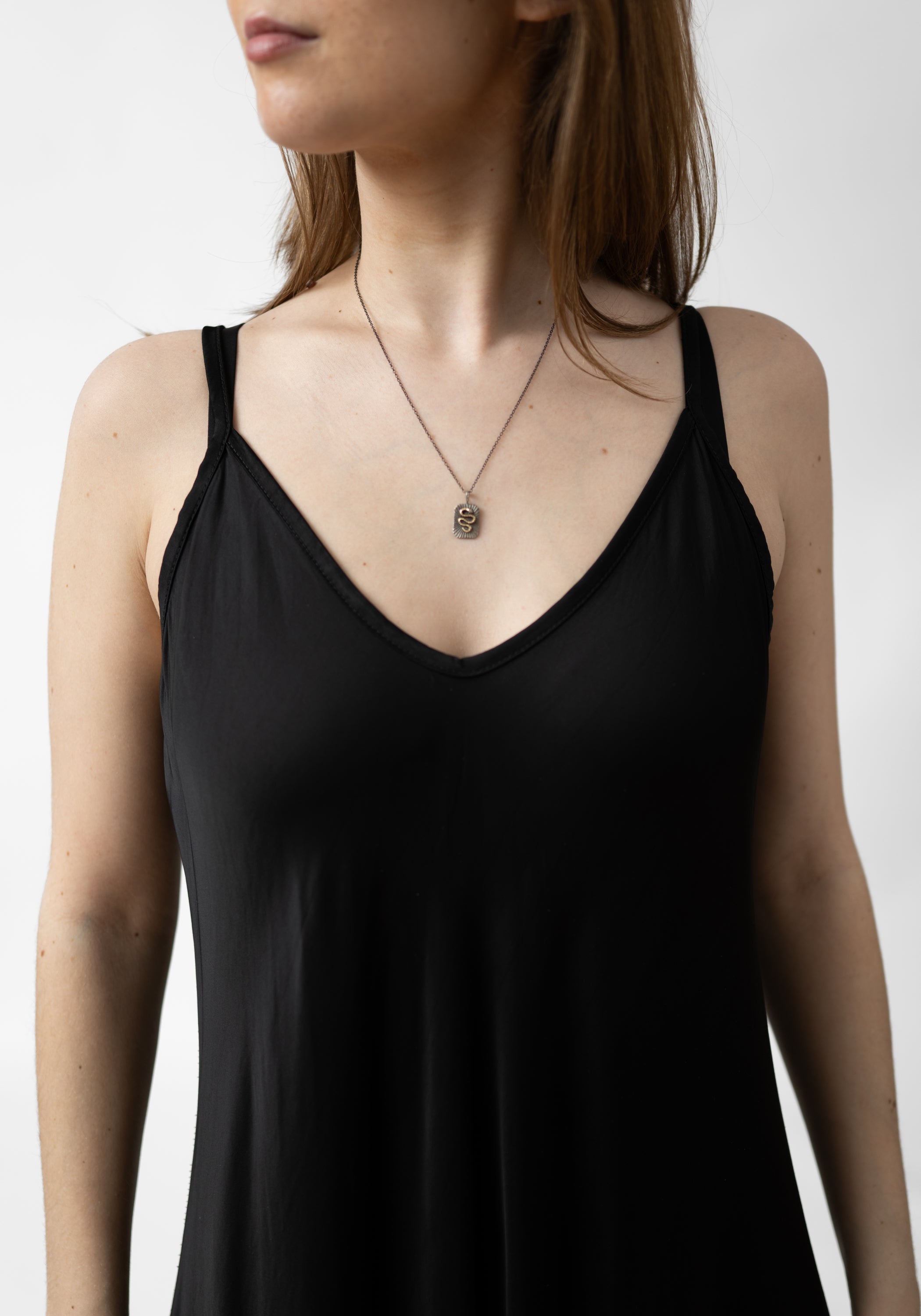 14k Gold, Oxidized Sterling Diamond Snake Tag Amulet Necklace - December Thieves