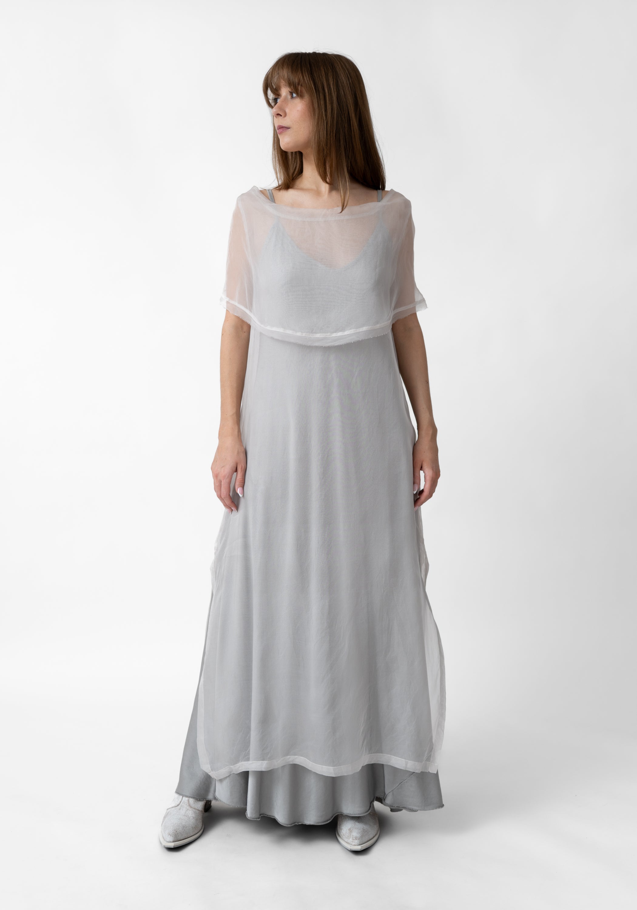 Sheer Organza Draped Neck Dress