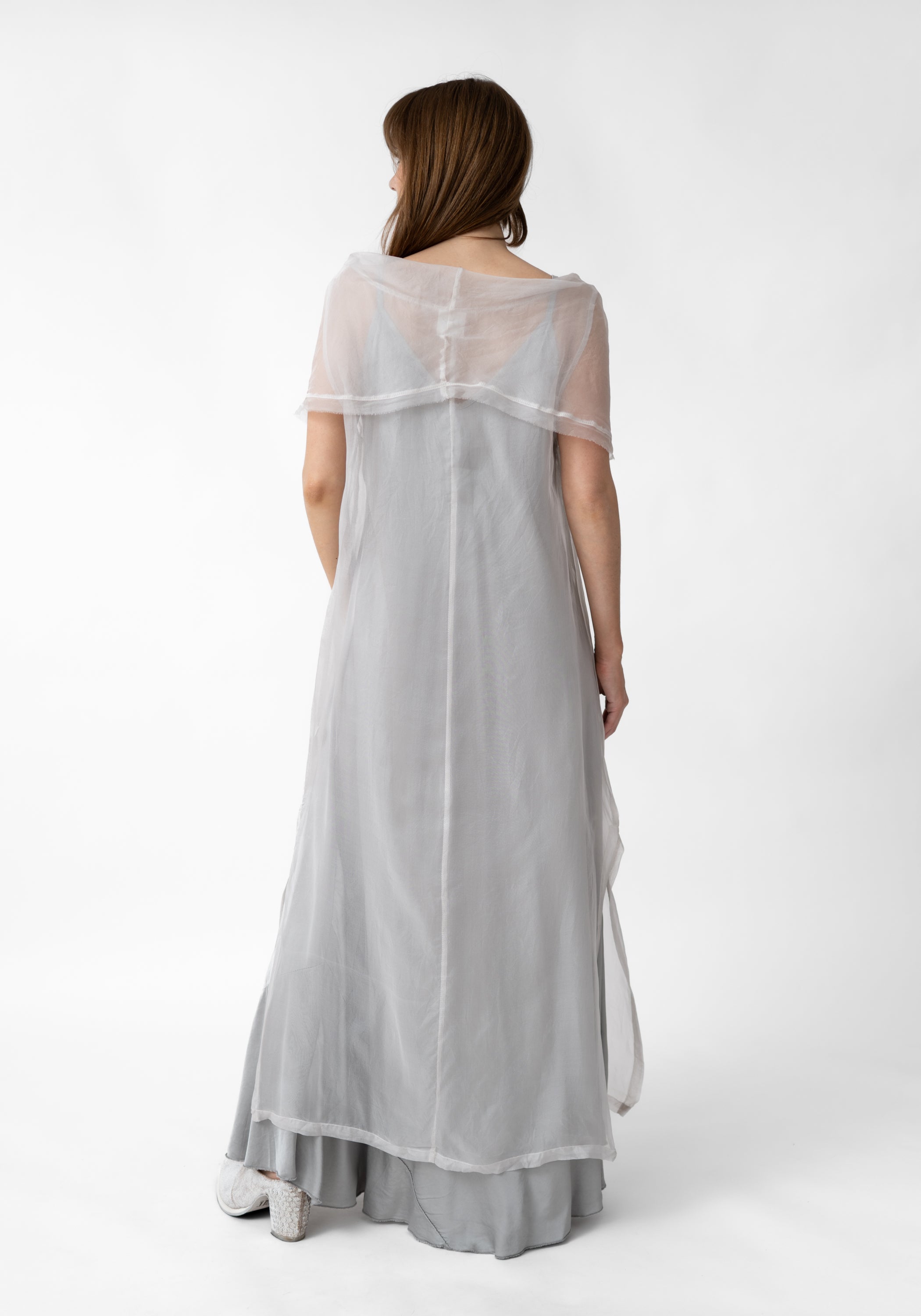 Sheer Organza Draped Neck Dress
