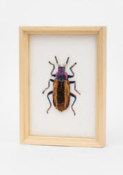 Eucyrtus Glorious Beetle Framed Beaded Art - December Thieves