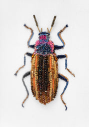 Eucyrtus Glorious Beetle Framed Beaded Art - December Thieves
