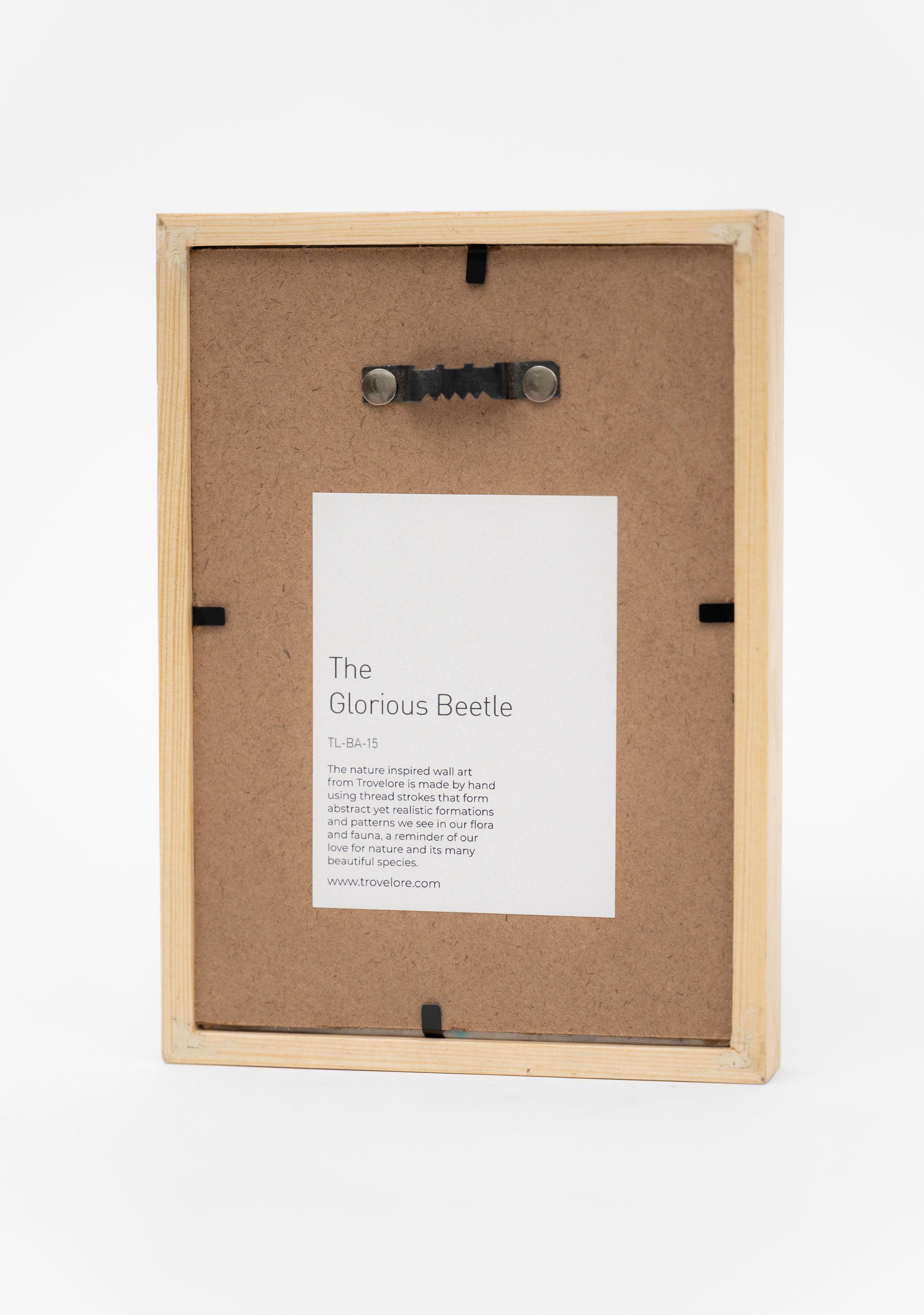 Eucyrtus Glorious Beetle Framed Beaded Art - December Thieves