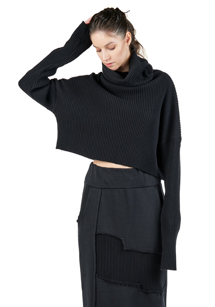 Amary Cropped High Neck Knit Pullover