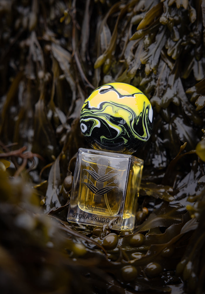 Stora Skuggan Silphium Eau de Parfum